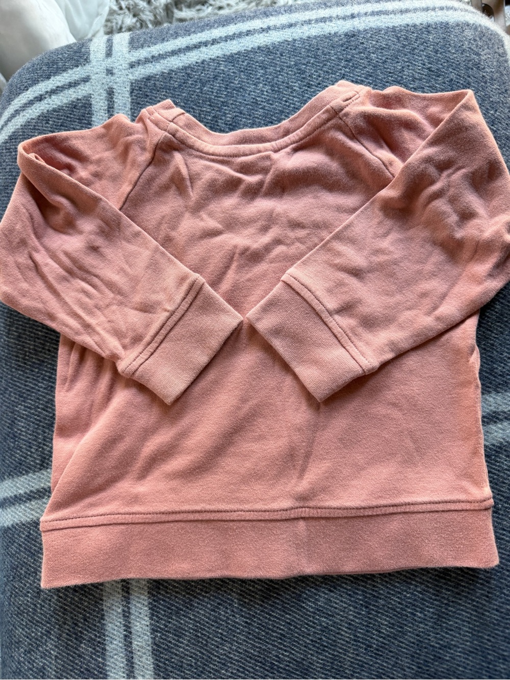 Colored Organics 100% cotton Cozy Crewneck Sweatshirt in Dusty Rose size 18-24M